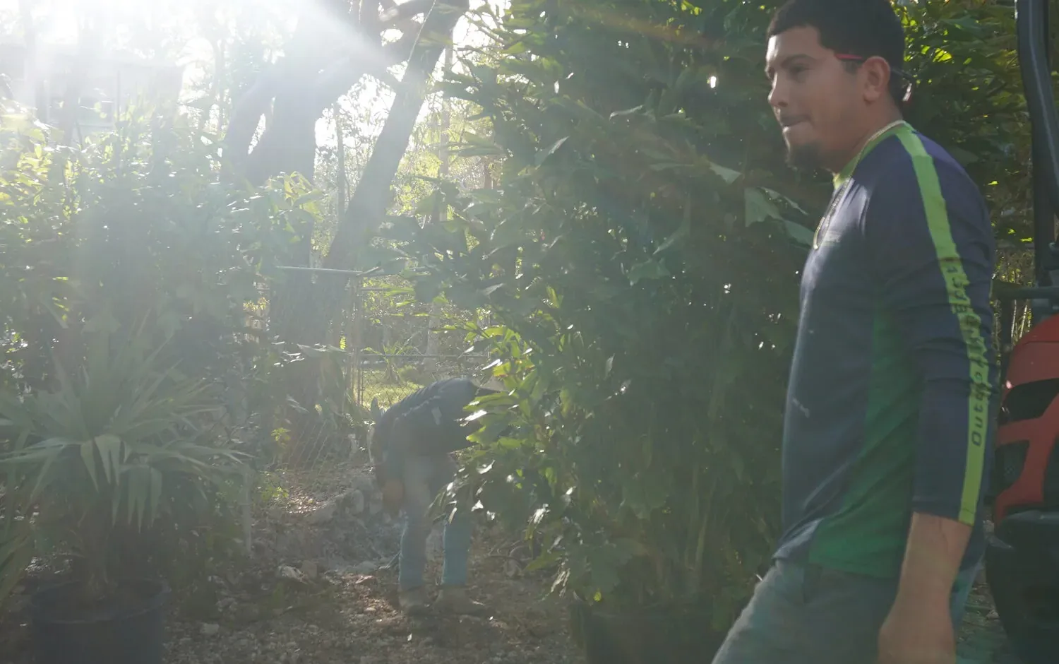 Keyscape team member walking a lush Keys property