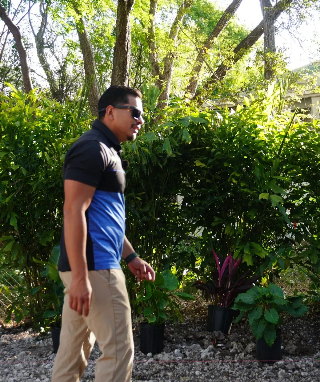 Keyscape's founder on a project site in the Florida Keys
