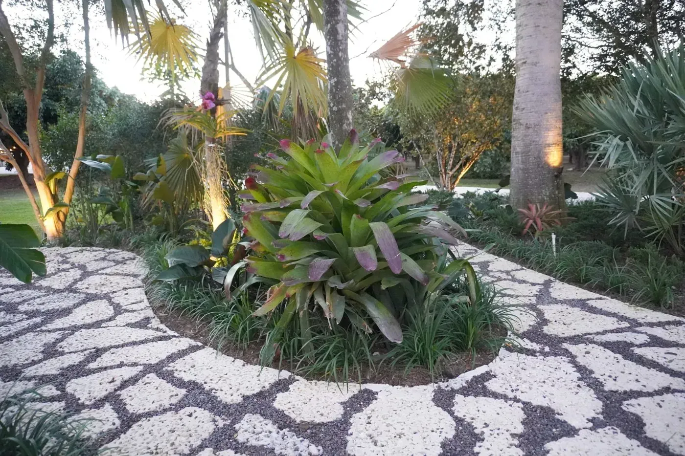 Paver path with tropical planting